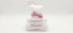 Orsetto Fuori Porta " Siamo Diventati nonni"